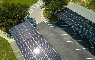 Obstruction (tree growth)